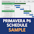 create primavera p6 and ms project schedules, dashboards