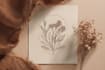 design a hand drawn botanical line art boho logo