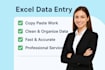do accurate excel data entry ,web research and data cleaning
