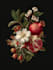 create botanical or nature illustration for you