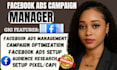 setup and manage meta ads marketing campaigns meta ads manager and facebook ads