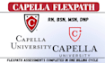 write capella flexpath nursing projects for bsn, msn and dnp