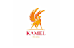 design modern professional camel logo