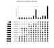 write debug automate python scripts for web scraping
