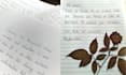 write aesthetic handwritten notes in english and spanish