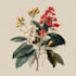 design elegant botanical illustrations for prints