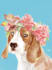 draw realistic pet portraits for printing on shirts and mugs
