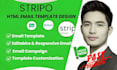 design editable html email template on  stripo brevo  mailerlite campaign