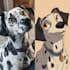 draw your pet in disney style
