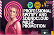 do professional spotify and soundcloud music promotion