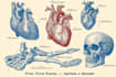 draw exercise, medical and anatomy illustrations