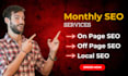 do monthly SEO, website optimization, ranking services