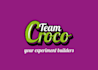 do professional custom crocodile logo with unlimited revision