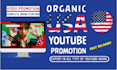 do youtube channel monetization to USA subscribers, views, video promotion