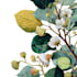 do a watercolor botanical illustration