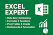 excel data entry, cleaning, and pivot table analysis professionally