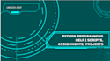 write and debug you beginner level python programs