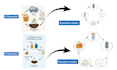 fix or edit your ai generated scientific illustrations
