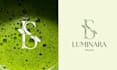 design highly professional business logo