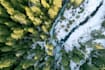 create professional drone photography and videography