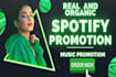 do USA professional spotify music promotion