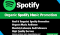 do professional spotify music promotion