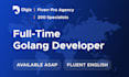 provide a full time golang developer