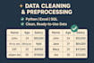 handle data cleaning, formatting, and preprocessing in python, excel, sql