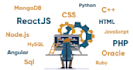build a professional full stack web application using java and javascript