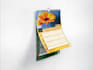 wall calendar with desk calendar design