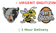 deliver urgent embroidery digitizing within 1 hour