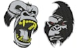 digitize applique and chenille embroidery designs