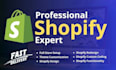 build a professional shopify store