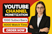 do complete youtube channel monetization promotion