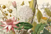 create a beautiful vintage botanical illustration