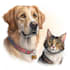 do custom pet portrait dog portrait cat portrait