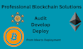 professionally audit and develop solidity smart contracts