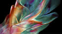create stunning 3d music visualization and abstract animation in 4k