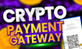 develop high risk payment processor, payment gateway for your high risk business