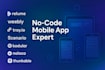 build kodular, noloco weebly relume tray io, goodbarber thunkable mobile app mvp