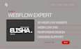 be your webflow expert do 3d webflow design webflow cms startup website