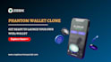 develop crypto wallet app, clone phantom wallet app, blockchain app wallet app