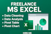 do data cleaning, data analysis, pivot table and charts in excel