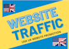 do organic UK,USA website traffic