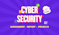 help you in cyber security assignments and programming