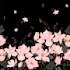 custom textile prints and motifs