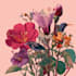 create amazing botanical illustration