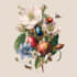 create amazing botanical illustration