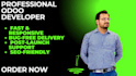 professional odoo website and ecommerce development module customization
