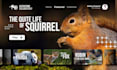 design web banner ads, web header images web banners